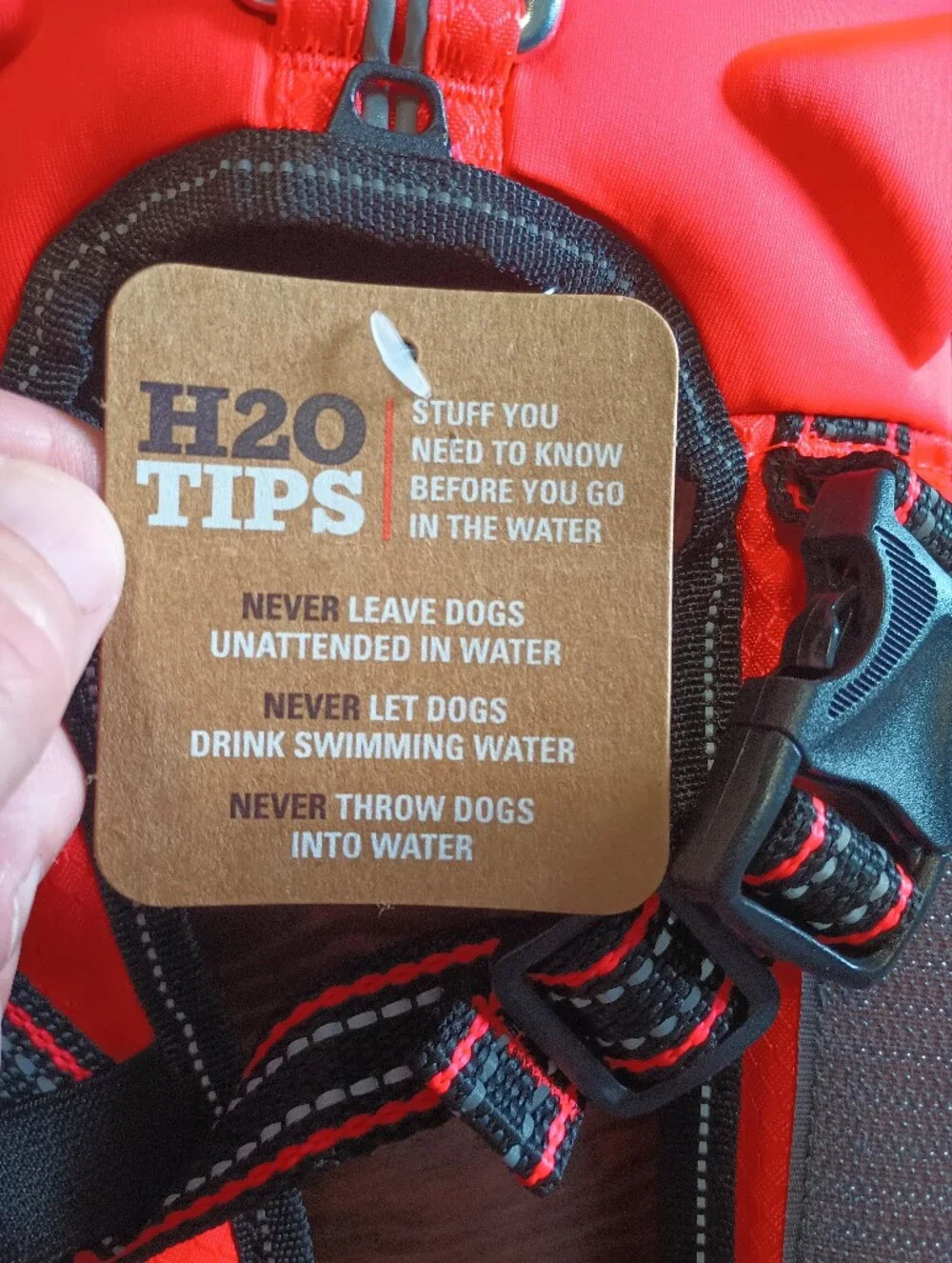 NWT Arcadia Trail All Terrain High Visibility Dog Life Vest. Rescue Handle. XS